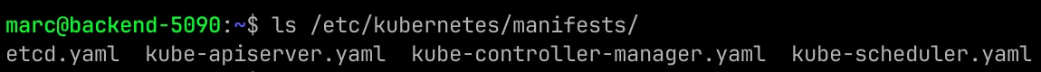 The four control plane manifests in /etc/kubernetes/manifests/ on the control plane node.